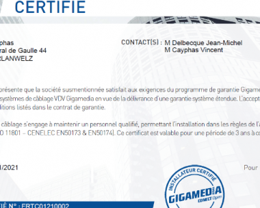 GIGAMEDIA CERTIFICAT.PNG